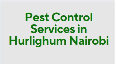 fumigation service cost in Hurlighum, fumigation cost in Hurlighum, fumigation prices in Hurlighum, fumigation price in nairobi, pest control charges in Hurlighum, pest control cost in Hurlighum, bees control services in hurlighum, bed bugs control services in hurlighum, termite control services in hurlighum, cockroach control services in hurlighum, pest control cost in Hurlighum fumigation charge in mombasa, bees removal service near me Hurlighum, bees removal service in Hurlighum, bees removal service chemical, bees removal chemical, termite control pesticide Hurlighum, termite control insecticide, best chemical for bed bugs in Hurlighum, best insecticide for bed bugs in Hurlighum, pest control services near me, bed bugs control services near me. pest control services in meru,fumigation services in Hurlighum,pest control Hurlighum, bed bugs in Hurlighum, bed bugs in Hurlighum town, fumigation of bed bugs in Hurlighum, eliminating bed bugs in Hurlighum, pest control in Hurlighum town, we are the solution for fumigation services in Hurlighum, we cover bed bugs, and snakes, Pest control companies in Hurlighum, Best pest control services in Hurlighum, Pest removal services in Hurlighum, Professional pest control in Hurlighum, Affordable pest control services in Hurlighum, Residential pest control in Hurlighum, Commercial pest control in Hurlighum, Emergency pest control in Hurlighum, Rodent control in Hurlighum, Termite control in Hurlighum, Bed bug treatment in Hurlighum, Cockroach control in Hurlighum, Flea and tick treatment in Hurlighum, Mosquito control services in Hurlighum, Integrated pest management in Hurlighum, Eco-friendly pest control in Hurlighum, Local pest control services Hurlighum, Pest inspection services in Hurlighum, Pest extermination in Hurlighum, Pest prevention services in Hurlighum, Ecofumitech pest control services in Nairobi Kenya